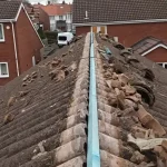 Roofing Repair & Installation Services In Durham & Sunderland